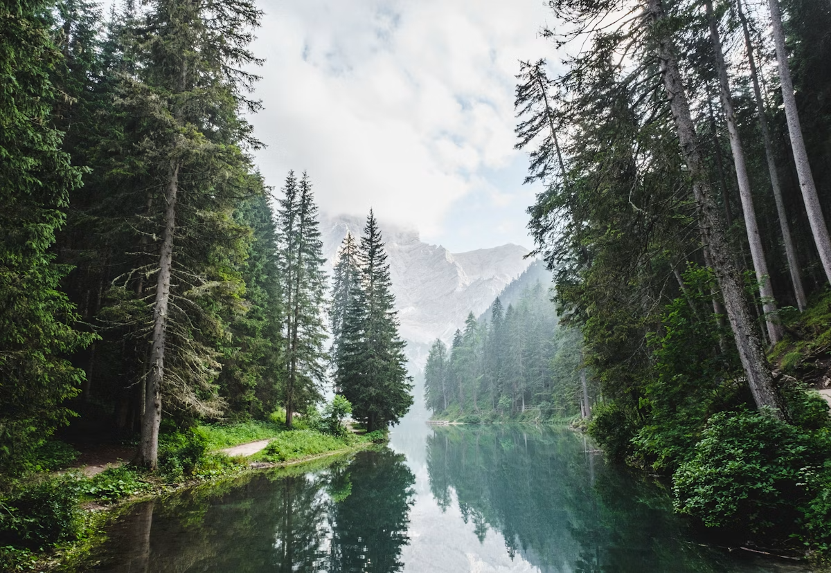 Sustentabilidade e meio ambiente